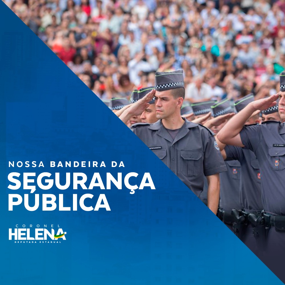Segurança publica